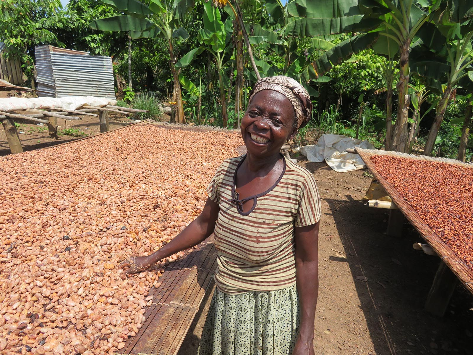 A Baraka producer beside cocoa beans laid out to dry