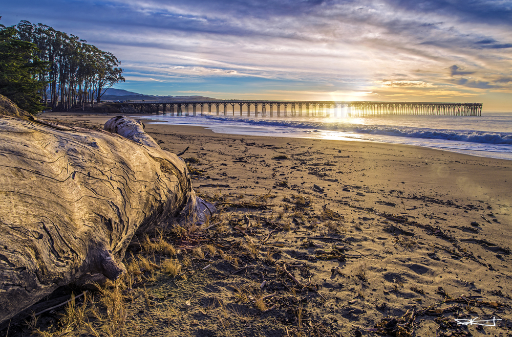 Evening light across San Simeon Pier, driftwood and sand