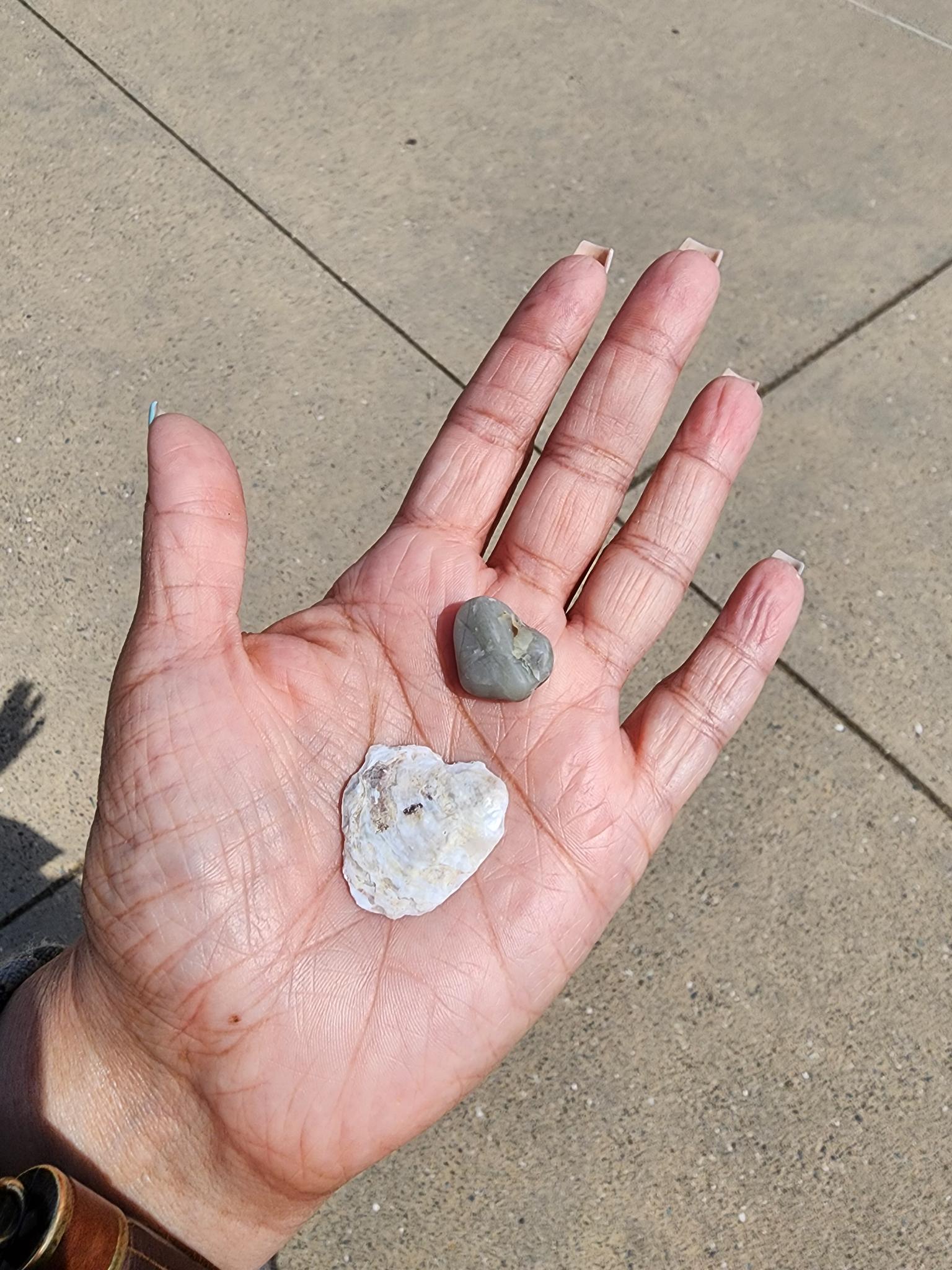 Heart-shaped shells and stones resting in Andie’s hand