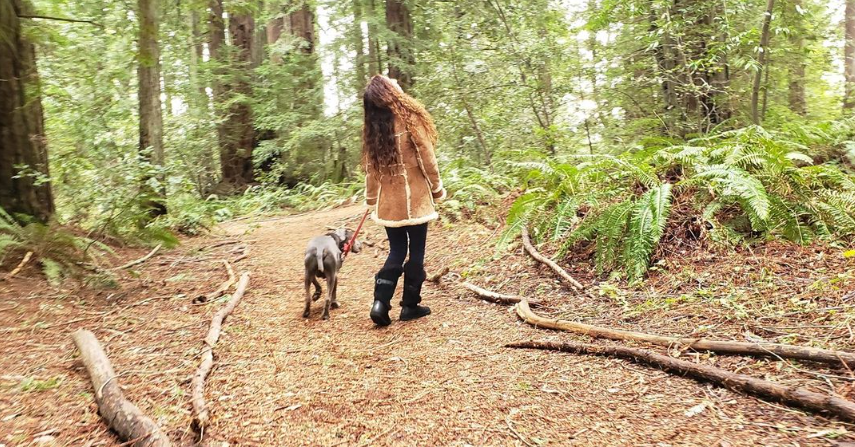 Andie walking her dog through a forest