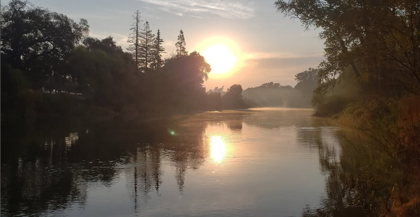 Low sunlight reflected in a quiet lake