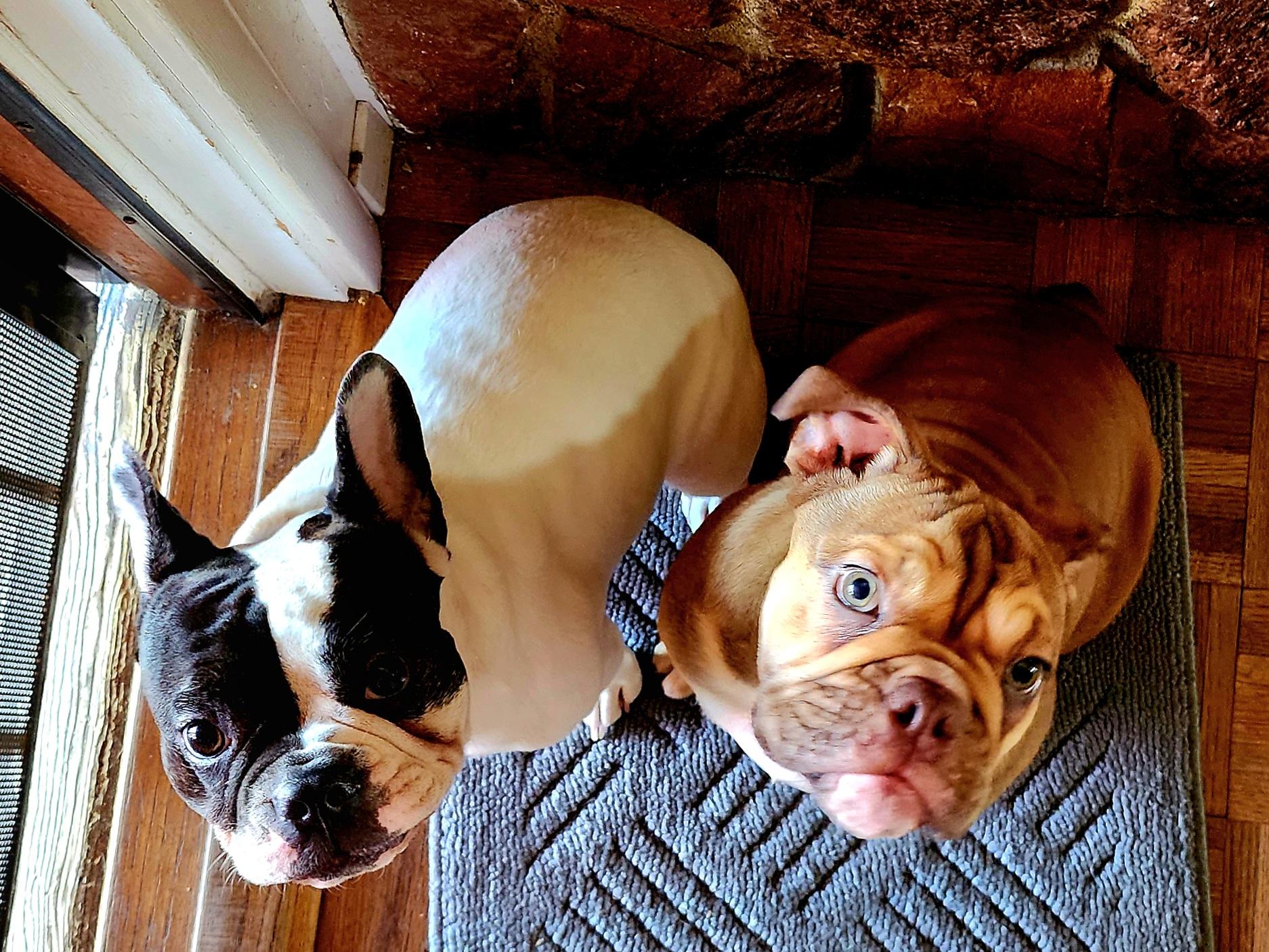 Piper and Thaddeus looking up together